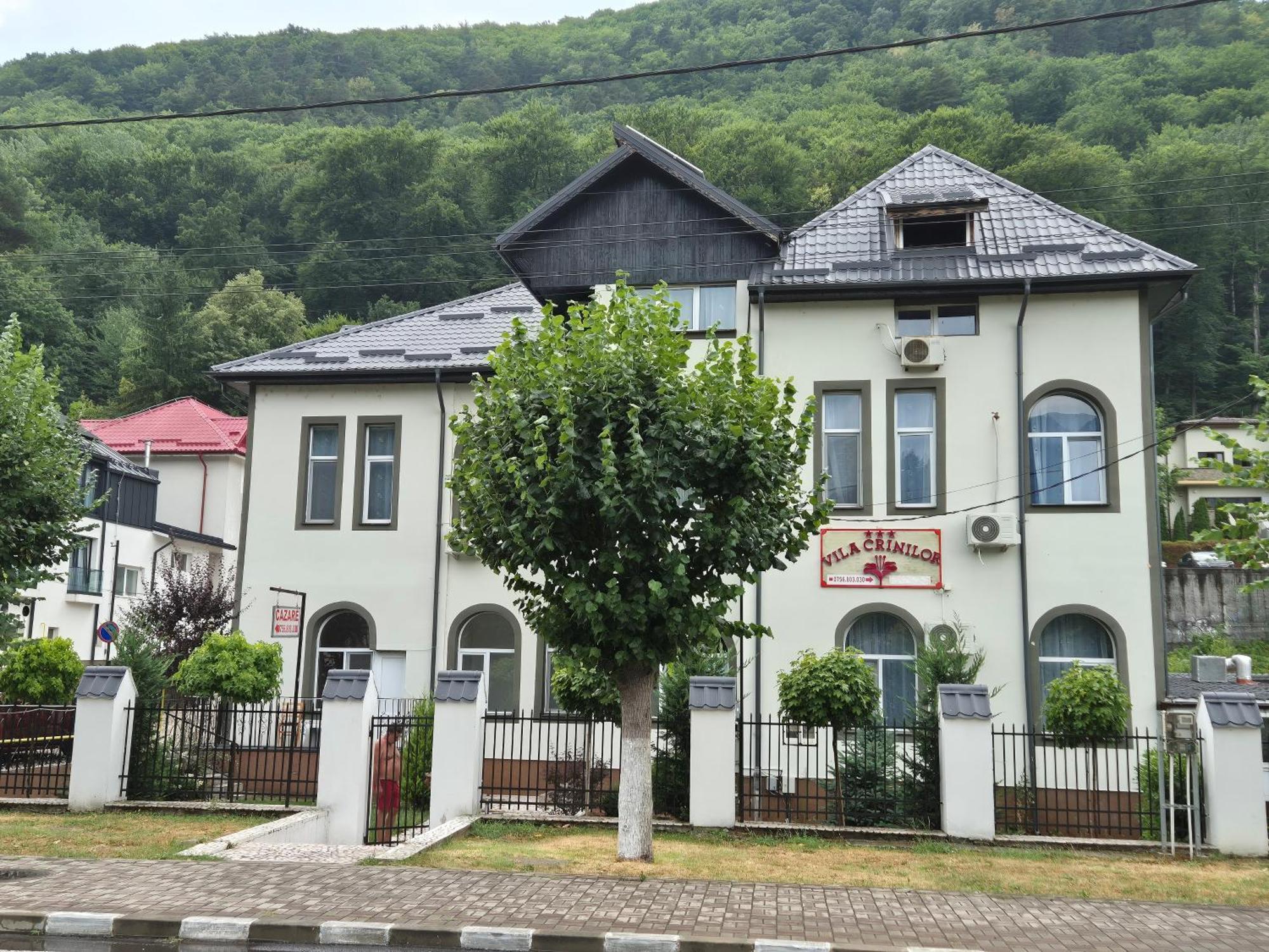 Vila Crinilor Călimăneşti 외부 사진